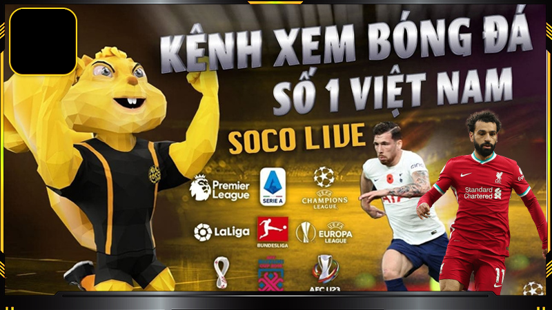 Câu hỏi thường gặp - Socolive có cung cấp dịch vụ hoàn toàn miễn phí không