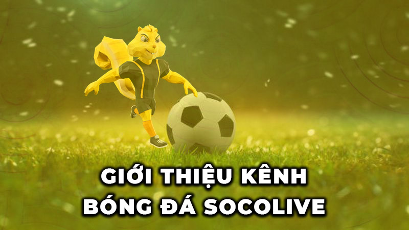 Socolive TV là kênh xem trực tiếp bóng đá chất lượng.