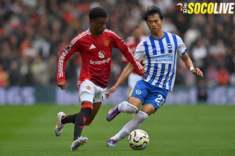 Manchester United sẽ đối đầu Brighton trên sân nhà tại vòng 22 Ngoại Hạng Anh Manchester United sẽ đối đầu Brighton trên sân nhà tại vòng 22 Ngoại Hạng Anh