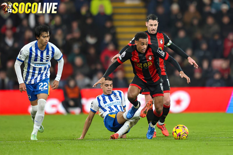 Brighton sẽ đối đầu với Bournemouth tại vòng 27 Ngoại Hạng Anh Brighton sẽ đối đầu với Bournemouth tại vòng 27 Ngoại Hạng Anh