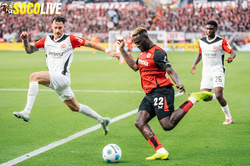 Frankfurt sẽ đối đầu với Bayer Leverkusen trên sân nhà tại vòng 24 Bundesliga