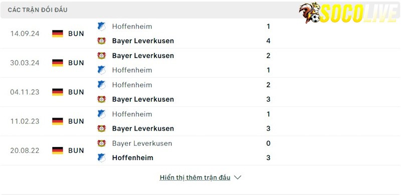 Thành tích đối đầu Leverkusen vs Hoffenheim 