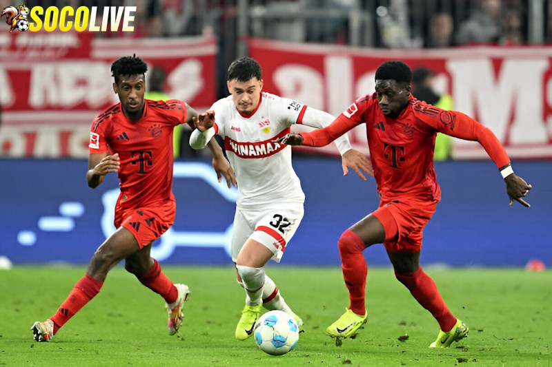 Stuttgart sẽ đối đầu với Bayern Munich trên sân nhà tại vòng 24 Bundesliga
