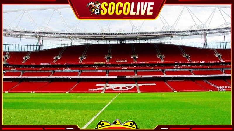 Mặt cỏ ở sân vận động Emirates