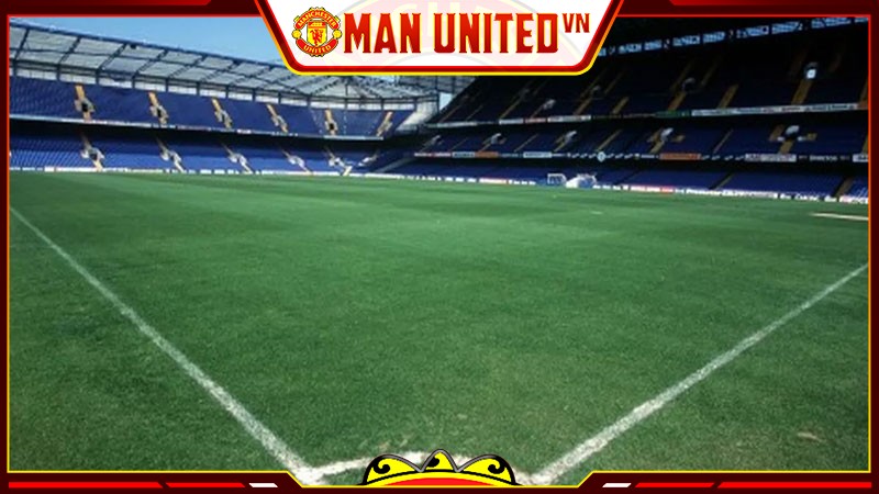 Mặt cỏ ở sân vận động Stamford Bridge